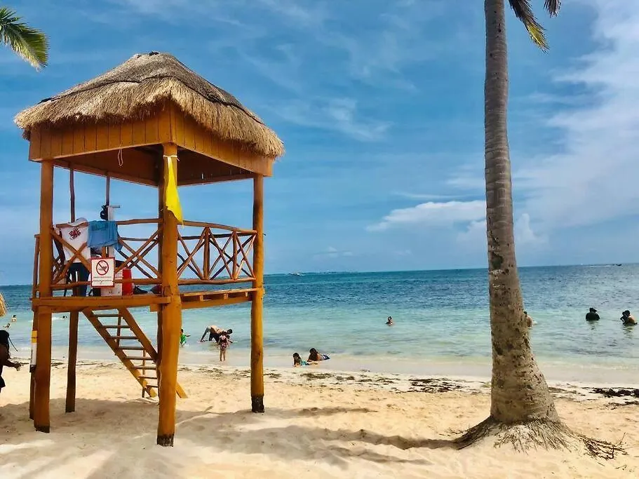 アパート Turtle Suite, 5 Min Walking To The Beach Turtle Piso3 カンクン メキシコ