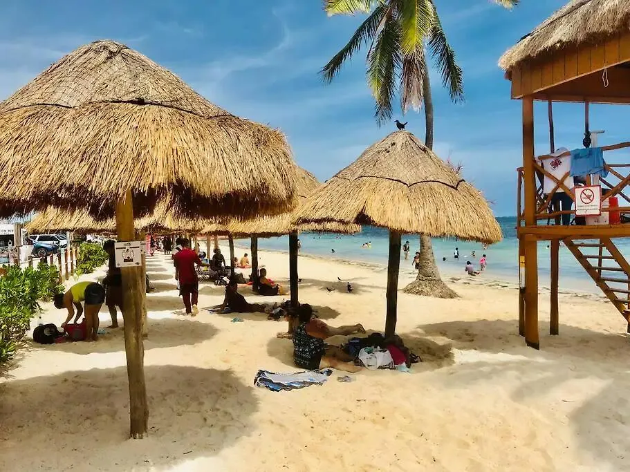 Apartamento Turtle Suite, 5 Min Walking To The Beach Turtle Piso3 Cancún