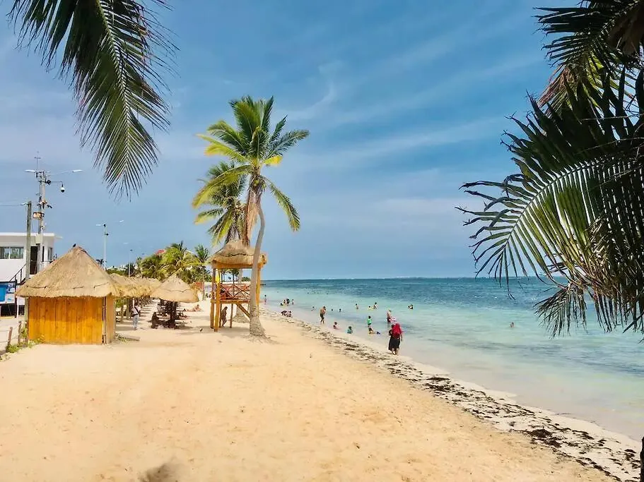 Turtle Suite, 5 Min Walking To The Beach Turtle Piso3 Cancún 0*,
