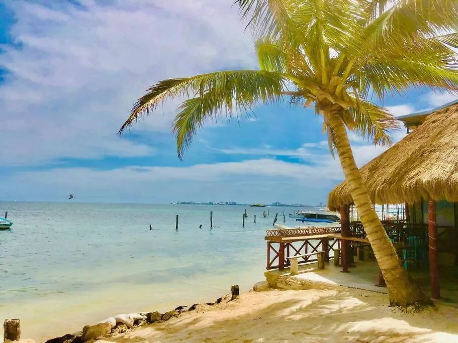 Turtle Suite, 5 Min Walking To The Beach Turtle Piso3 Cancún 0*,  Mexiko