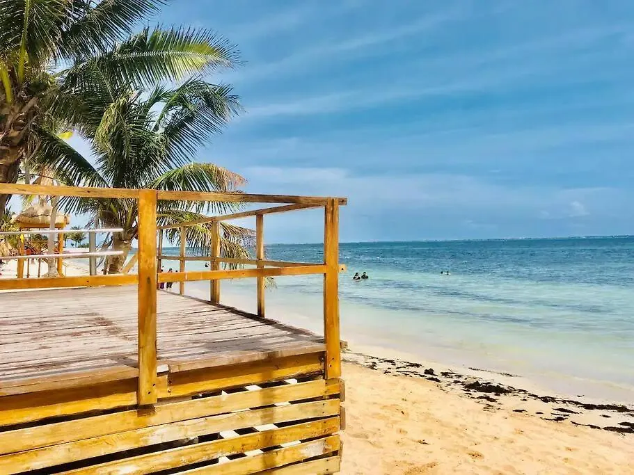 Apartmán Turtle Suite, 5 Min Walking To The Beach Turtle Piso3 Cancún