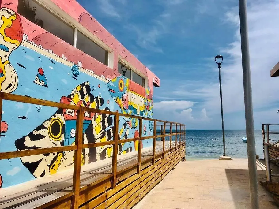 Turtle Suite, 5 Min Walking To The Beach Turtle Piso3 Cancun Apartment